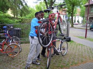 Akrobatik mit einem Landtagsabgeordneten: Eine Fahrrad-Pyramide wächst heran
